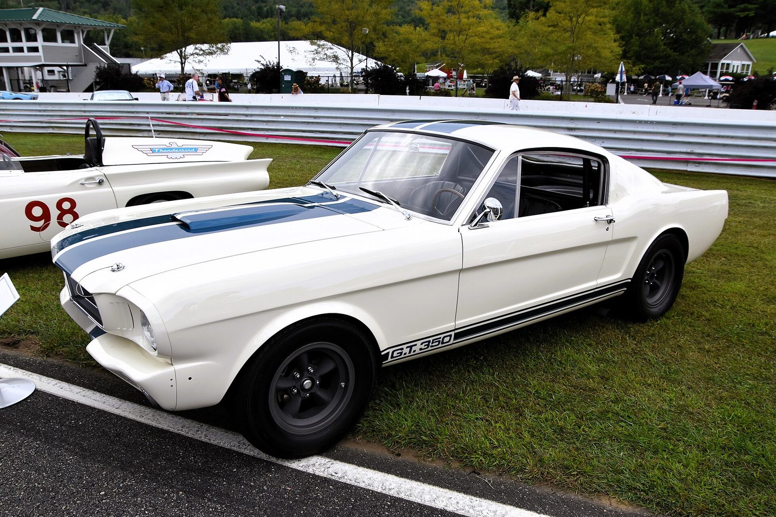 Shelby GT350 (Shelby Mustang GT350)